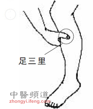 足三里為長壽穴有6大神效 年過三十應(yīng)常灸